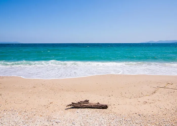 Alexandra Sun Lejlighedshotel